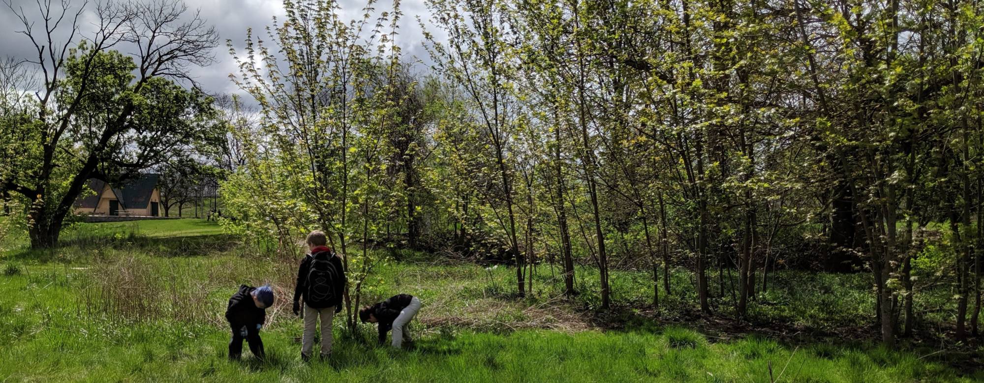 Students from Grand Rapids Montessori school plant trees at Highland Park